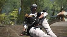 Imagen 499 de Final Fantasy XIV: A Realm Reborn