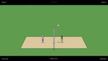 Imagen 2 de Actual Volleyball