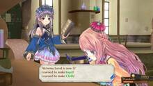 Imagen 43 de Atelier Meruru: The Apprentice of Arland DX