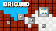 Imagen 1 de Briquid