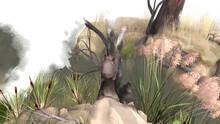Imagen 3 de Paperbark