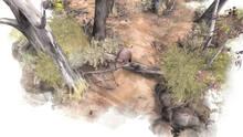 Imagen 6 de Paperbark