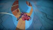 Imagen 1 de SkateBIRD