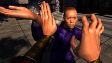 Imagen 2 de Dragon Fist: VR Kung Fu