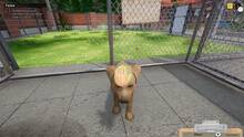 Imagen 10 de Animal Shelter Simulator