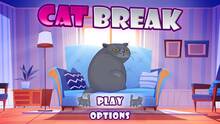 Imagen 16 de Cat Break