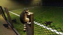 Imagen 7 de Raccoon Adventure: Animal Simulator