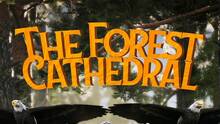 Imagen 27 de The Forest Cathedral