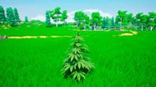 Imagen 6 de Weed Simulator