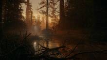 Imagen 43 de Alan Wake 2