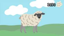 Imagen 5 de The Sheep P