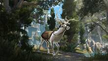 Imagen 14 de The Elder Scrolls Online: High Isle