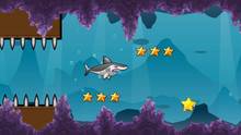 Imagen 8 de Shark Adventure