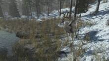 Imagen 9 de Pro Deer Hunting Out West