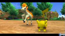 Imagen 24 de PokPark: Pikachu's Big Adventure