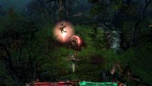 Imagen 70 de Grim Dawn