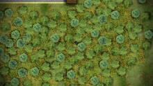 Imagen 5 de Battlegrounds2D.IO