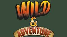Imagen 3 de Wild & Adventure Pinball