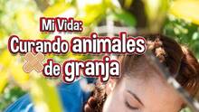 Imagen 51 de Mi Vida: Curando animales de granja