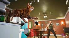 Imagen 5 de Cat Simulator: Neighbor's Nightmare
