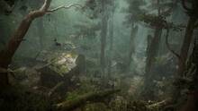 Imagen 61 de Assassin's Creed Shadows