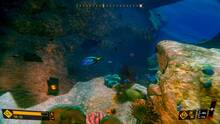 Imagen 12 de Deep Diving Adventures