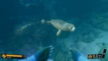 Imagen 16 de Deep Diving Adventures