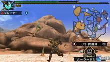Imagen 38 de Monster Hunter Freedom 3