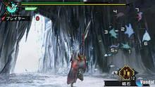 Imagen 56 de Monster Hunter Freedom 3