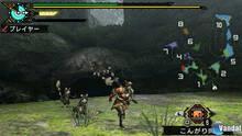 Imagen 24 de Monster Hunter Freedom 3
