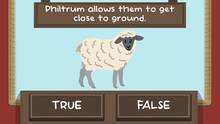 Imagen 13 de The Sheep Quiz