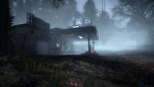 Imagen 19 de Silent Hill: Downpour