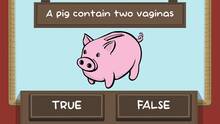 Imagen 4 de The Pig Quiz