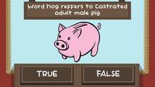 Imagen 5 de The Pig Quiz