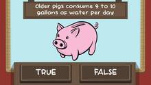 Imagen 7 de The Pig Quiz