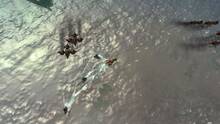 Imagen 8 de AQUA: Naval Warfare