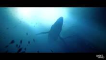 Imagen 6 de Under The Waves