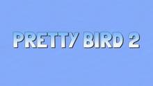 Imagen 5 de Pretty Bird 2