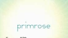 Imagen 4 de Primrose DSiW