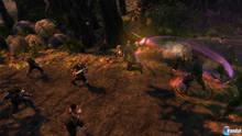 Imagen 20 de Dungeon Siege III