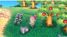 Imagen 13 de Animal Crossing: New Leaf