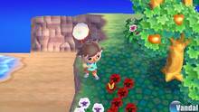 Imagen 19 de Animal Crossing: New Leaf
