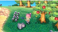 Imagen 33 de Animal Crossing: New Leaf