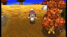 Imagen 73 de Animal Crossing: New Leaf