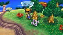 Imagen 100 de Animal Crossing: New Leaf