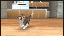 Imagen 3 de Nintendogs + Cats