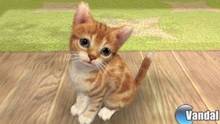 Imagen 11 de Nintendogs + Cats