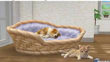 Imagen 24 de Nintendogs + Cats