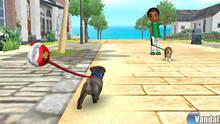 Imagen 15 de Nintendogs + Cats