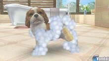 Imagen 16 de Nintendogs + Cats